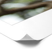 Cherry Blossom Poster (Hoek)