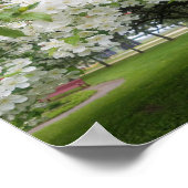 Cherry Blossom Poster (Hoek)