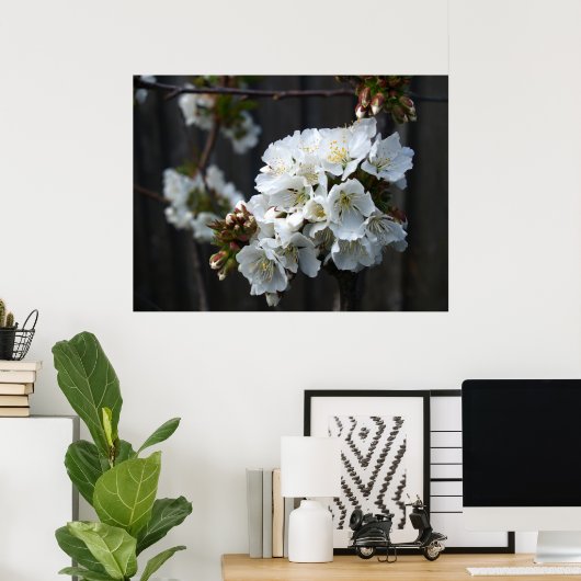 Cherry Blossom Poster (Thuiskantoor)