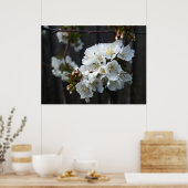 Cherry Blossom Poster (Keuken)