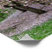Cherry Blossom Poster (Hoek)