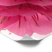 Cherry blossom poster (Hoek)