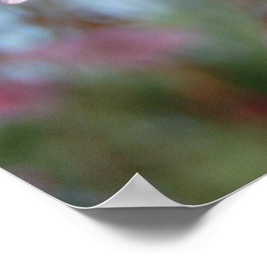 Cherry Blossom Poster (Hoek)