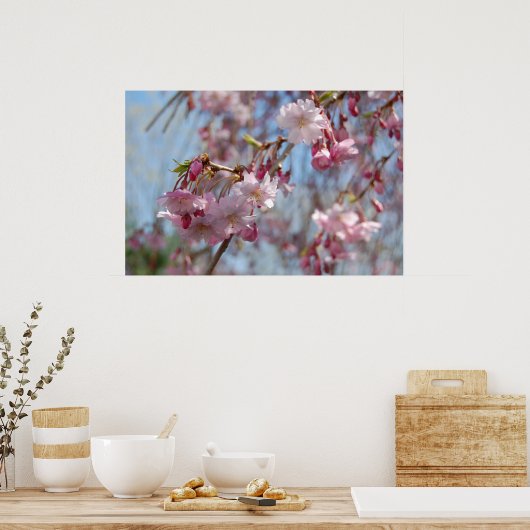 Cherry Blossom Poster (Keuken)