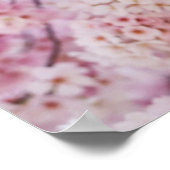 Cherry Blossom Poster (Hoek)