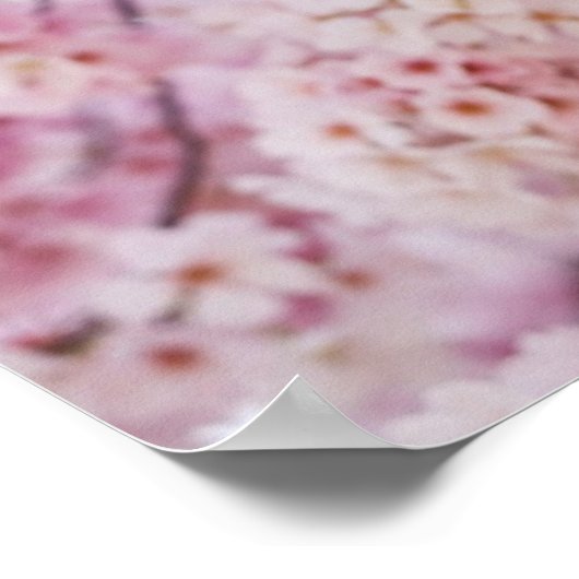 Cherry Blossom Poster (Hoek)