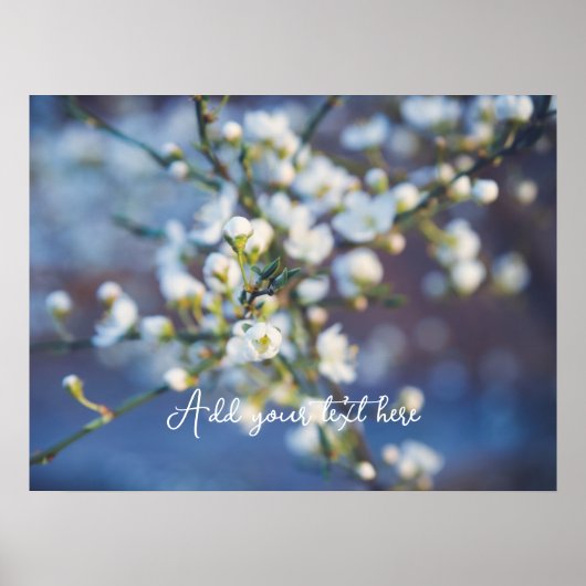 Cherry blossom poster (Voorkant)