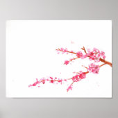 Cherry Blossom Poster (Voorkant)