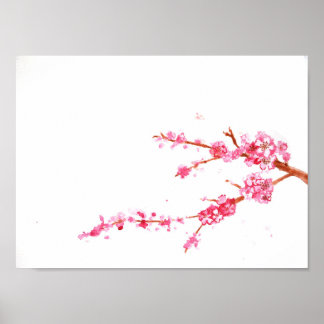 Cherry Blossom Poster