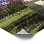 Cherry Blossom Poster Paper (Matte) (Hoek)