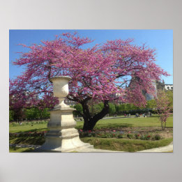 Cherry Blossom Poster Paper (Matte)