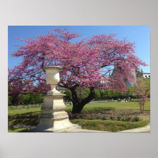 Cherry Blossom Poster Paper (Matte) (Voorkant)
