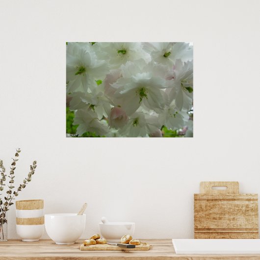 Cherry Blossom Poster Print White Flower Prints (Keuken)