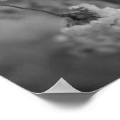 Cherry Blossom Print Black and White (Hoek)