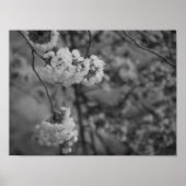Cherry Blossom Print Black and White (Voorkant)