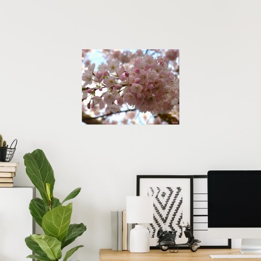 Cherry Blossom Print White Flower Poster Print (Thuiskantoor)
