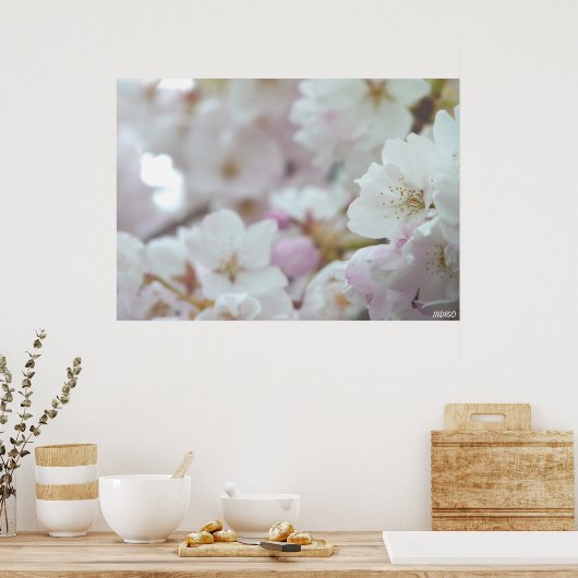 Cherry Blossom Print White Flower Poster Print (Keuken)