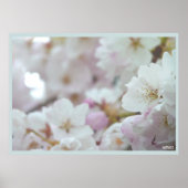 Cherry Blossom Print White Flower Poster Print (Voorkant)