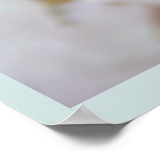 Cherry Blossom Print White Flower Poster Print (Hoek)