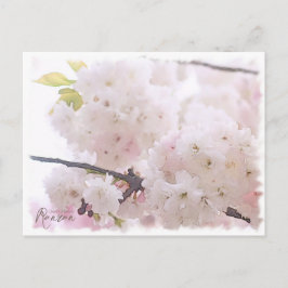 Cherry Blossom "Ranran" ポストカード Briefkaart