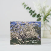 Cherry Blossom Retro Boerderij Orchard Blooms Briefkaart (Staand voorkant)