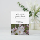 Cherry Blossom RSVP Reply Kaart (Staand voorkant)