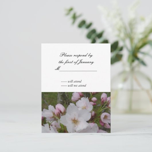 Cherry Blossom RSVP Reply Kaart (Staand voorkant)