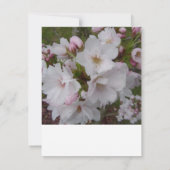 Cherry Blossom RSVP Reply Kaart (Achterkant)