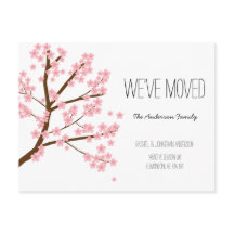  Cherry Blossom Sakura Boom We hebben ons verplaat