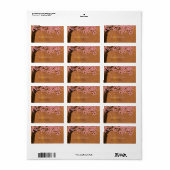 Cherry Blossom Sakura Waterverf (zonsondergang) Ad Etiket (Full Sheet)
