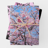 Cherry Blossom Sakuras Oriental Floral Pattern Inpakpapier Vel (In situ)