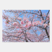 Cherry Blossom Sakuras Oriental Floral Pattern Inpakpapier Vel (Voorkant)
