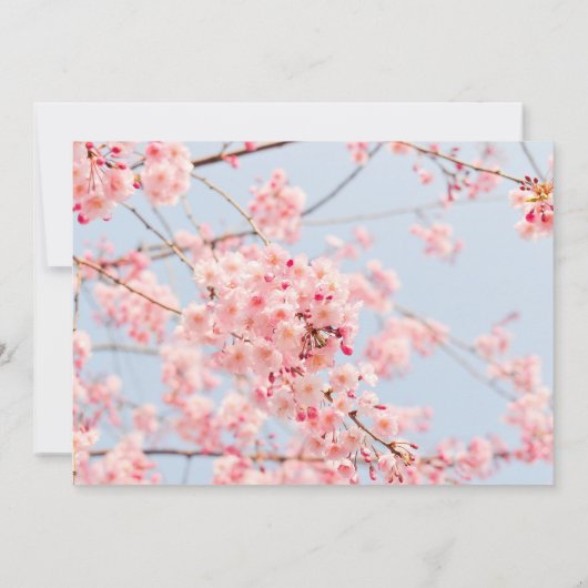 Cherry Blossom Save the Date (Achterkant)