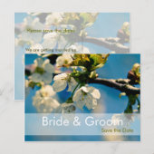 Cherry Blossom · Save the Date Briefkaart (Voorkant / Achterkant)