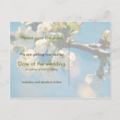Cherry Blossom · Save the Date Briefkaart (Achterkant)