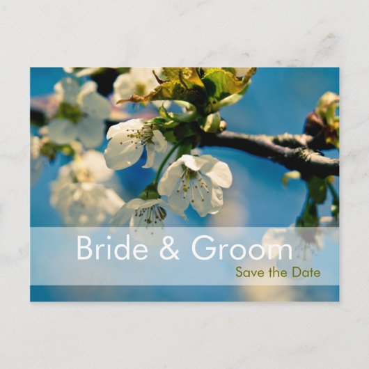 Cherry Blossom · Save the Date Briefkaart (Voorkant)