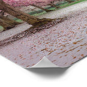 Cherry Blossom Serenity - Peaceful Spring Park Poster (Hoek)