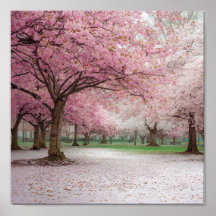 Cherry Blossom Serenity - Peaceful Spring Park