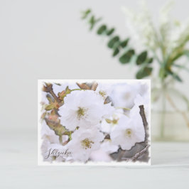Cherry Blossom "Shizuka" Briefkaart