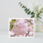 Cherry Blossom "Shogetsu" ポストカード Briefkaart (Staand voorkant)