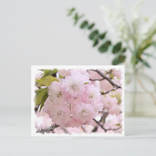 Cherry Blossom "Shogetsu" ポストカード Briefkaart (Staand voorkant)