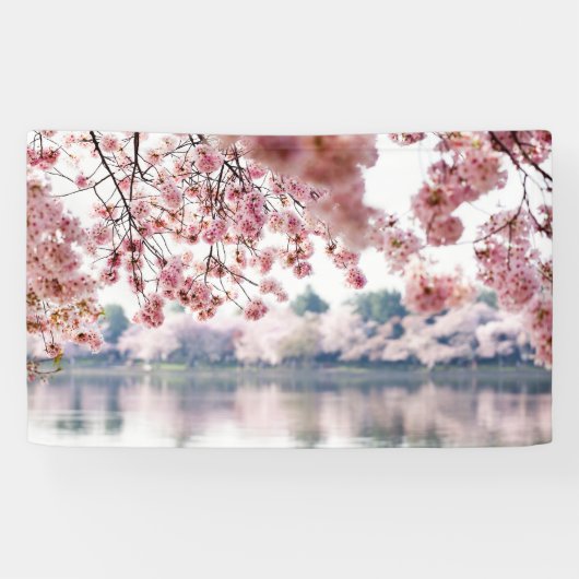 Cherry Blossom Spandoek (Horizontaal)