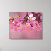 Cherry Blossom Spring 2012 Poster Canvas Afdruk (Voorkant)