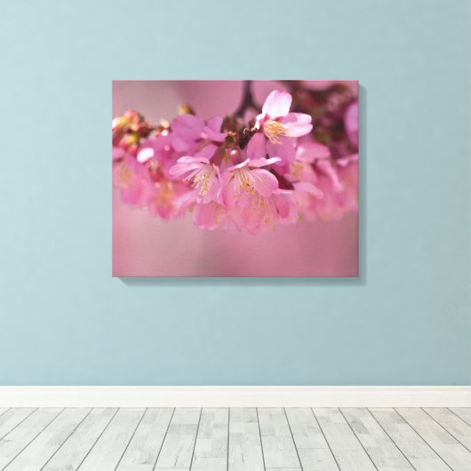 Cherry Blossom Spring 2012 Poster Canvas Afdruk (Insitu (Houten vloer))