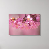 Cherry Blossom Spring 2012 Poster Canvas Afdruk (Voorkant)