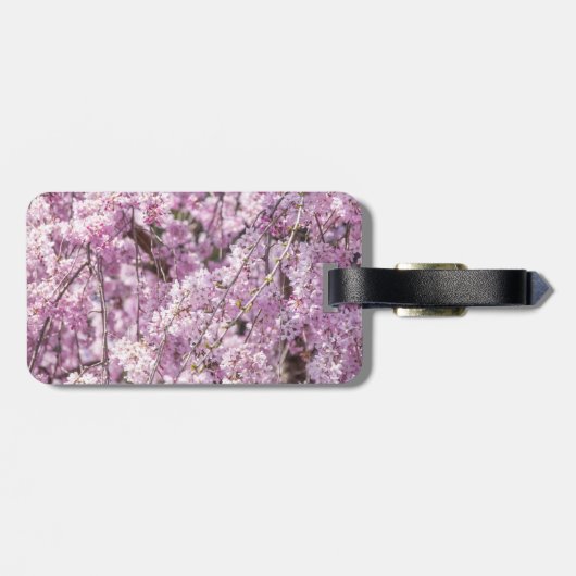 Cherry Blossom Spring Bagagelabel (Achterkant horizontaal)