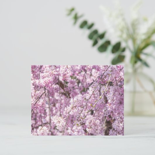 Cherry Blossom Spring Briefkaart (Staand voorkant)