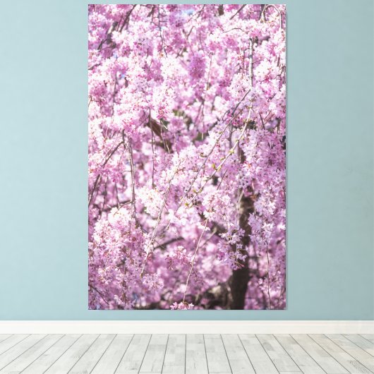 Cherry Blossom Spring Canvas Afdruk (Insitu (Houten vloer))