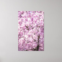 Cherry Blossom Spring Canvas Afdruk