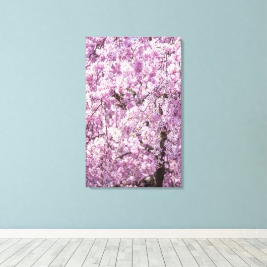 Cherry Blossom Spring Canvas Afdruk (Insitu (Houten vloer))